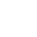 Data Ingestion